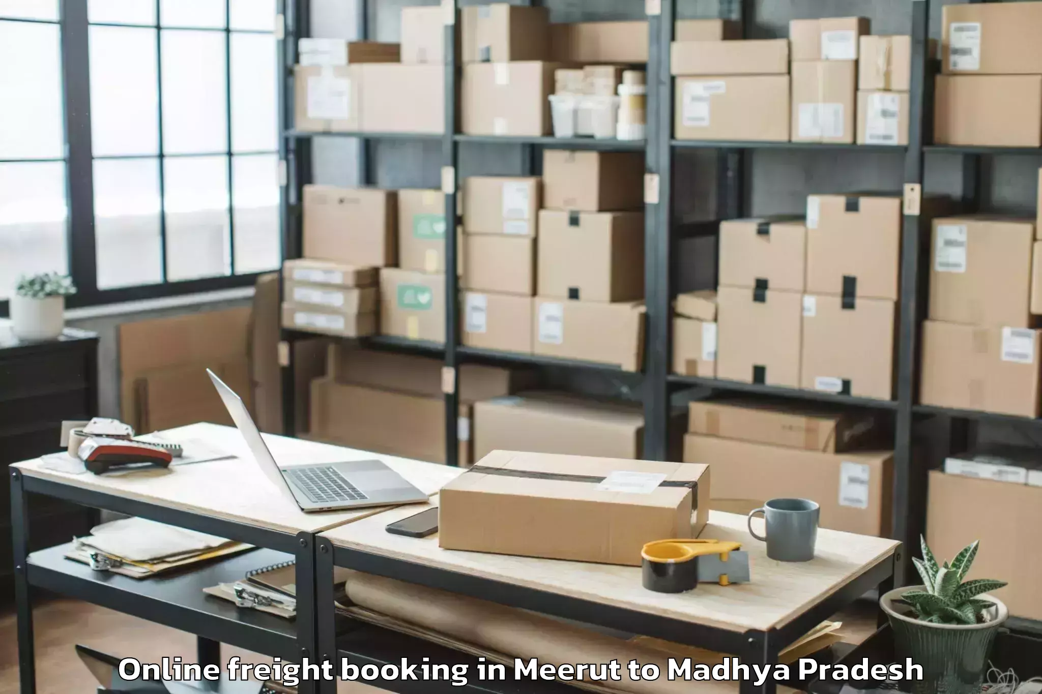 Professional Meerut to Khargone Online Freight Booking